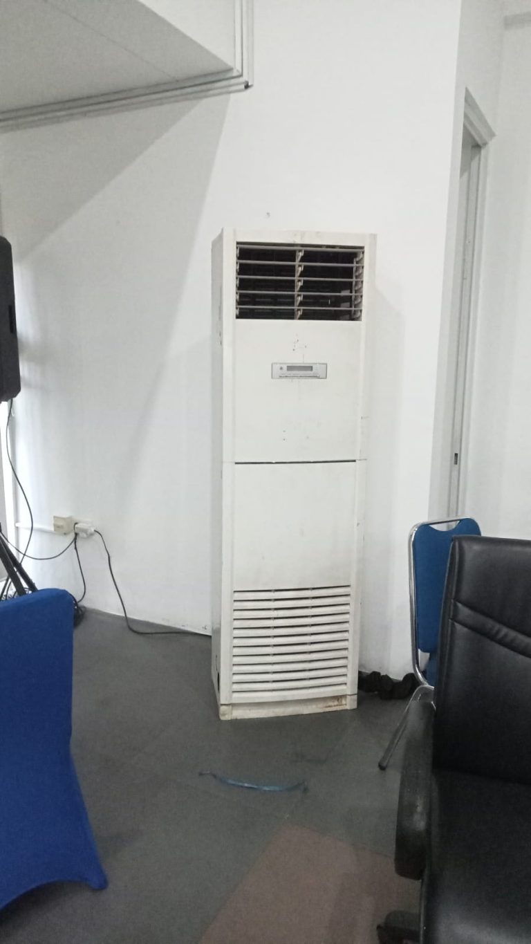 WhatsApp Image 2025-06-30 at 11.38